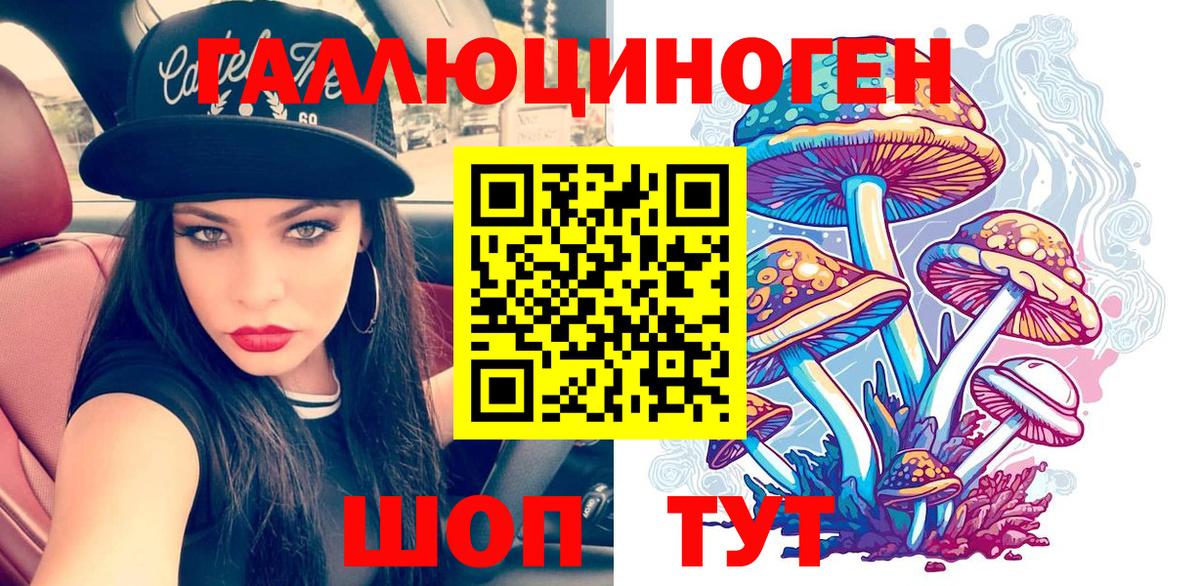 как найти   Псилоцибиновые грибы Magic Shrooms  Кисловодск  Вход с VPN  Псилоцибиновые грибы Cubensis 