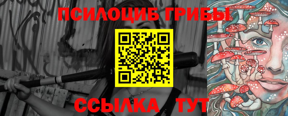 Псилоцибиновые грибы Magic Shrooms Кисловодск